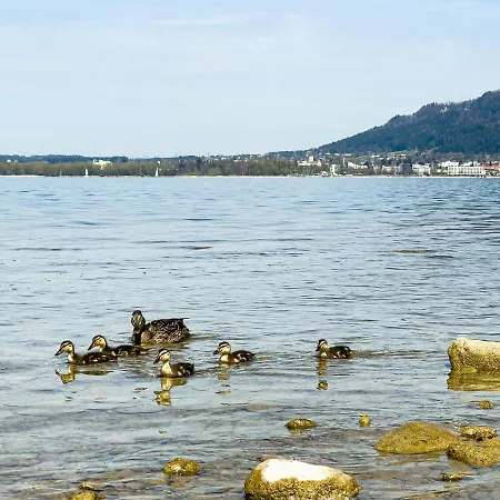 Apartamento 6 1 Bregenz